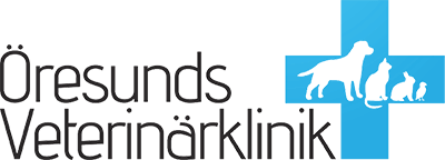 logo-desktop.png